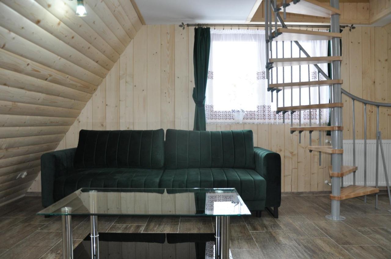 Apartamenty "U Blizniakow" ザコパネ エクステリア 写真