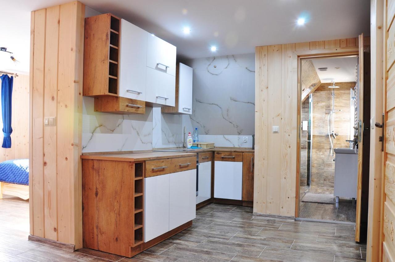 Apartamenty "U Blizniakow" ザコパネ エクステリア 写真